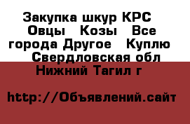 Закупка шкур КРС , Овцы , Козы - Все города Другое » Куплю   . Свердловская обл.,Нижний Тагил г.